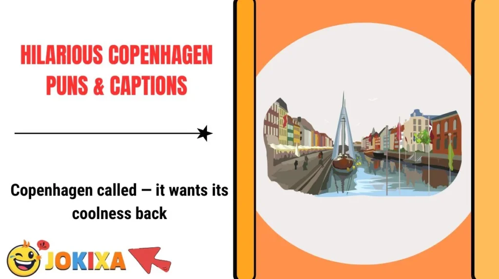 Hilarious Copenhagen Puns & Captions