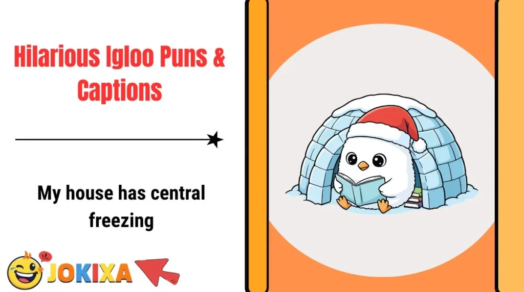 Hilarious Igloo Puns & Captions