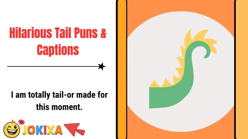 Hilarious Tail Puns & Captions