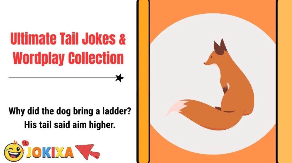 Ultimate Tail Jokes & Wordplay Collection