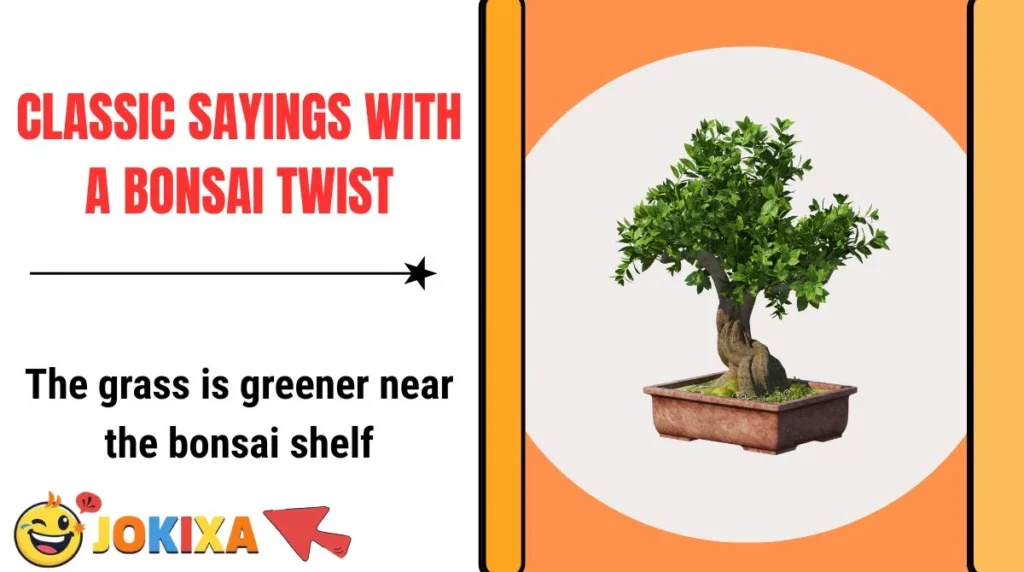 Classic Sayings With a Bonsai Twist