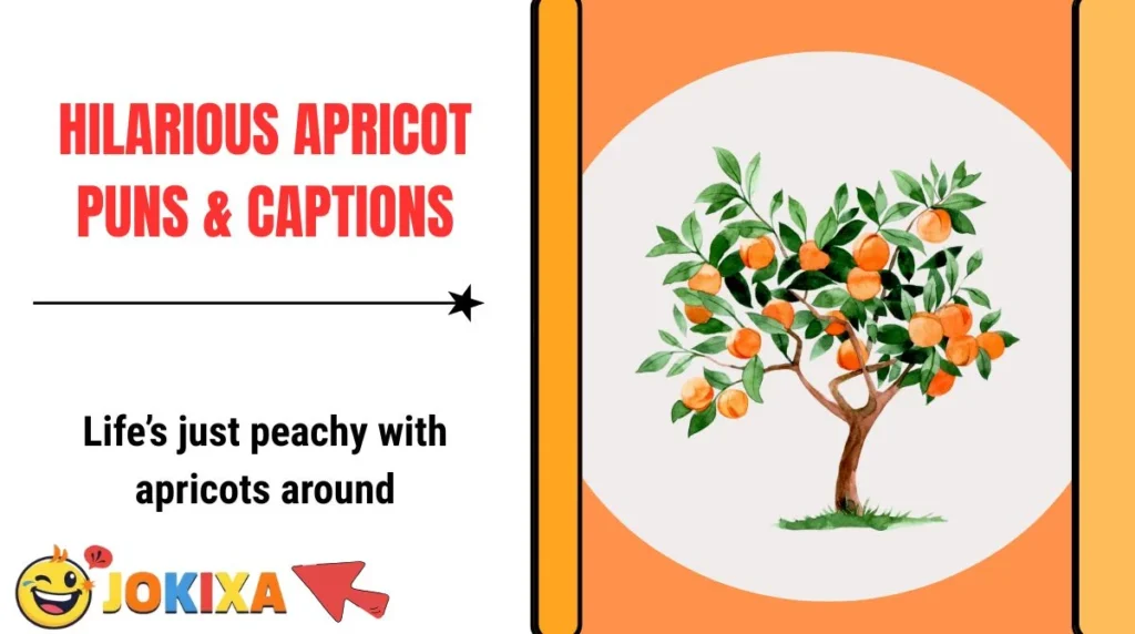 Hilarious Apricot Puns & Captions