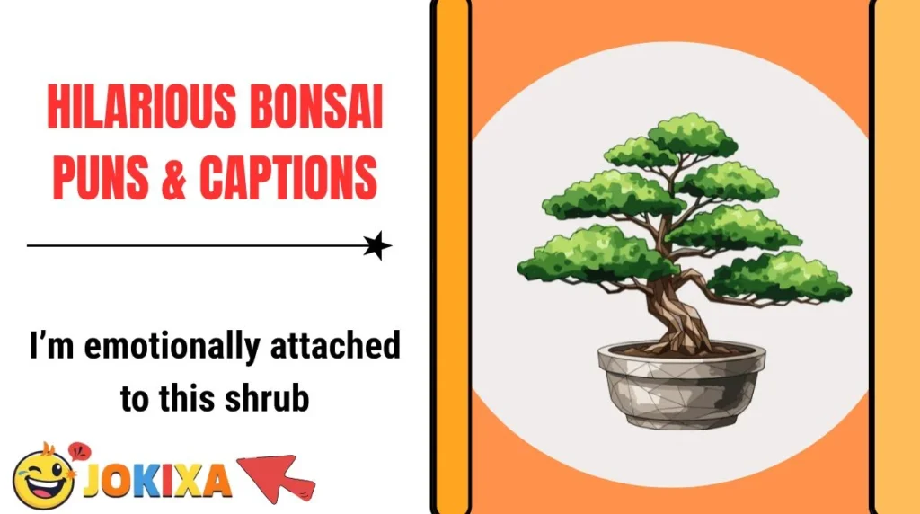 Hilarious Bonsai Puns & Captions