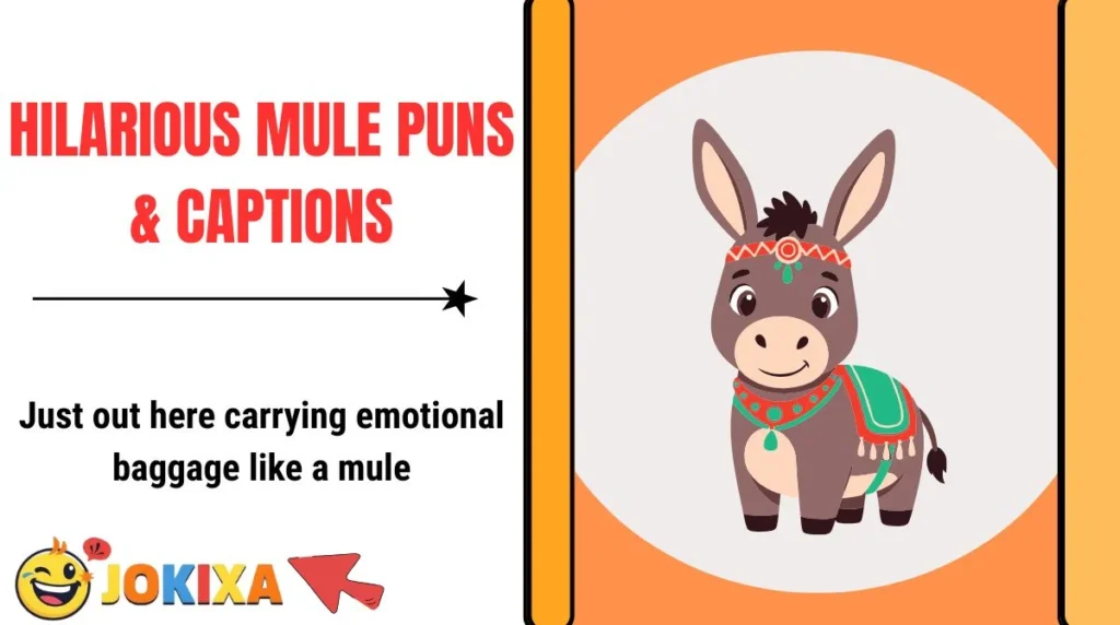 Hilarious Mule Puns & Captions