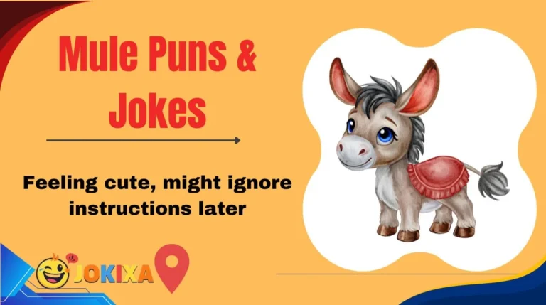 Mule Puns & Jokes